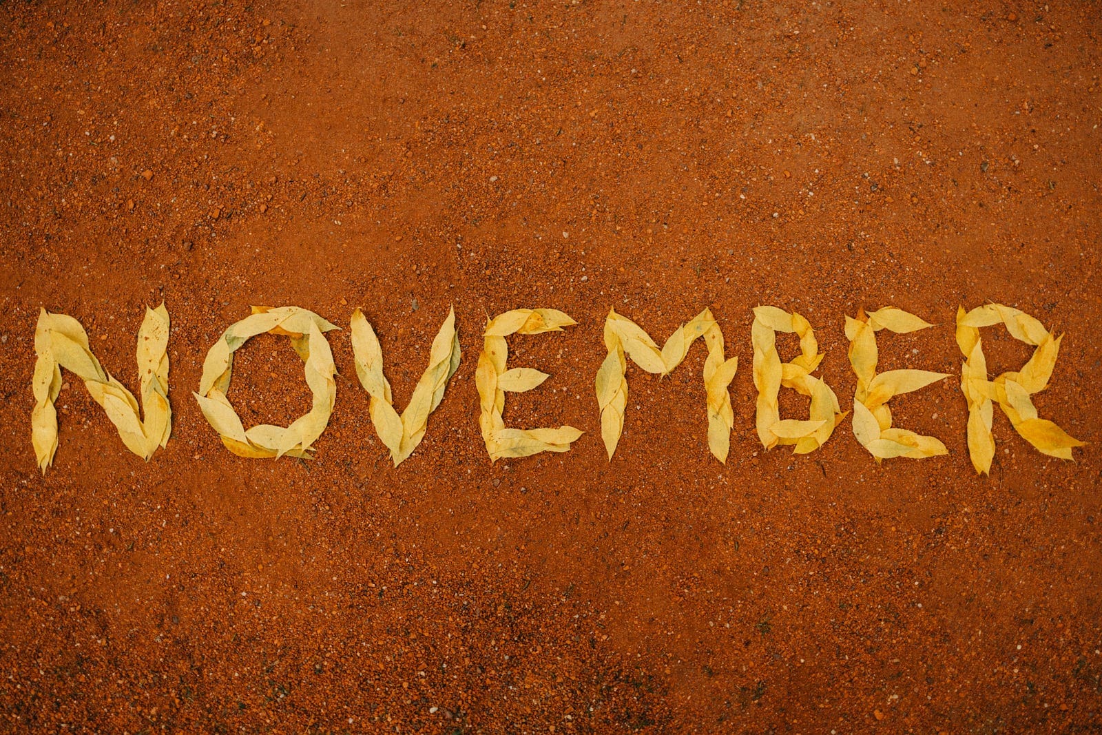 November Recap: A High In Views & Earnings, 2x Published Stories & NewsBreak